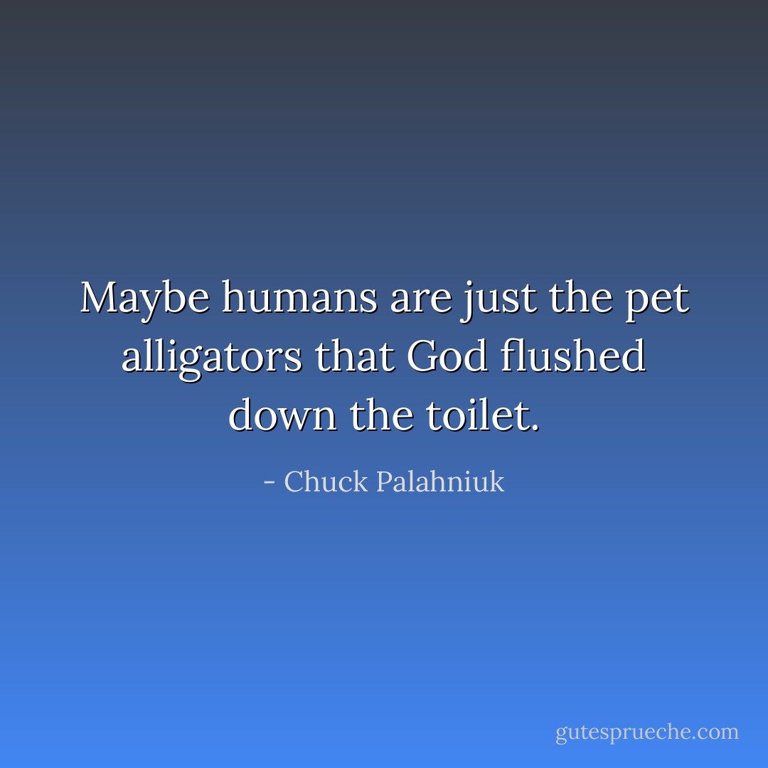 Maybe humans are just the pet alligators that God flushed down the toilet. - Chuck Palahniuk