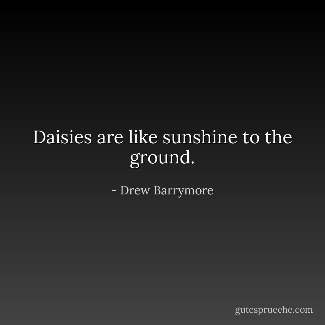 Daisies are like sunshine to the ground. - Drew Barrymore