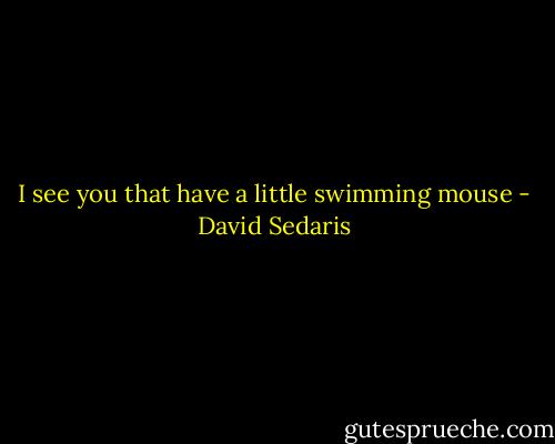 I see you that have a little swimming mouse - David Sedaris