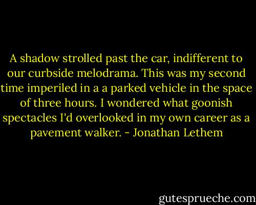 A shadow strolled past the car, indifferent to our curbside melodrama. This was my second time imperiled in a a parked vehicle in the space of three hours. I wondered what goonish spectacles I'd overlooked in my own career as a pavement walker. - Jonathan Lethem