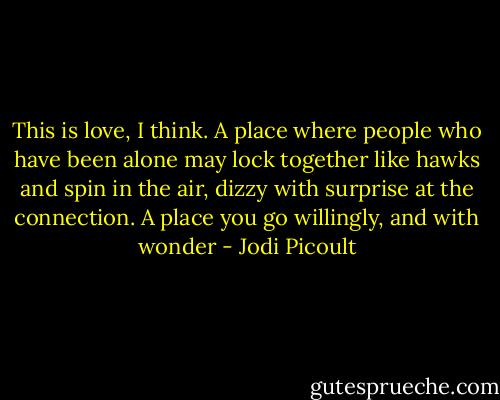 This is love, I think. A place where people who have been alone may lock together like hawks and spin in the air, dizzy with surprise at the connection. A place you go willingly, and with wonder - Jodi Picoult