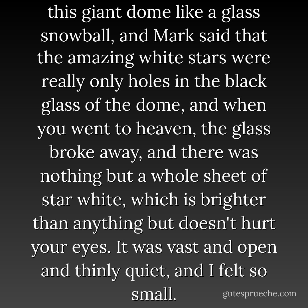 So, I looked up, and we were in this giant dome like a glass snowball, and Mark said that the amazing white stars were really only holes in the black glass of the dome, and when you went to heaven, the glass broke away, and there was nothing but a whole sheet of star white, which is brighter than anything but doesn't hurt your eyes. It was vast and open and thinly quiet, and I felt so small. - Stephen Chbosky