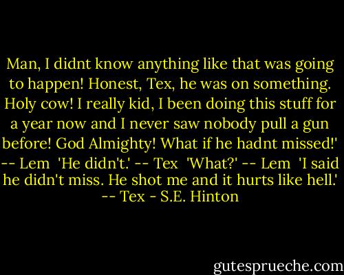 Man, I didnt know anything like that was going to happen! Honest, Tex, he was on something. Holy cow! I really kid, I been doing this stuff for a year now and I never saw nobody pull a gun before! God Almighty! What if he hadnt missed!' -- Lem<br /> 'He didn't.' -- Tex<br /> 'What?' -- Lem<br /> 'I said he didn't miss. He shot me and it hurts like hell.' -- Tex - S.E. Hinton