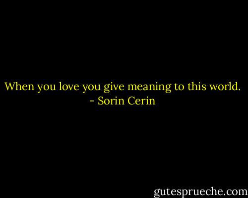  When you love you give meaning to this world.  - Sorin Cerin