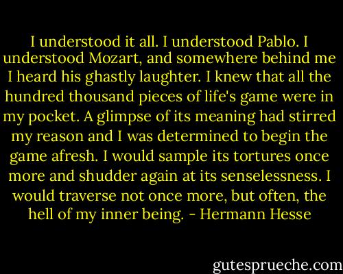 I understood it all. I understood Pablo. I understood Mozart, and somewhere behind me I heard his ghastly laughter. I knew that all the hundred thousand pieces of life's game were in my pocket. A glimpse of its meaning had stirred my reason and I was determined to begin the game afresh. I would sample its tortures once more and shudder again at its senselessness. I would traverse not once more, but often, the hell of my inner being. - Hermann Hesse