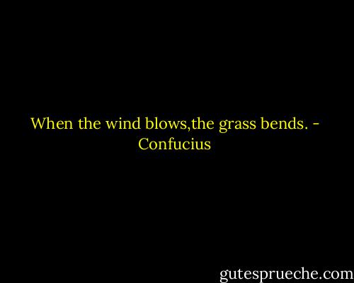When the wind blows,the grass bends. - Confucius