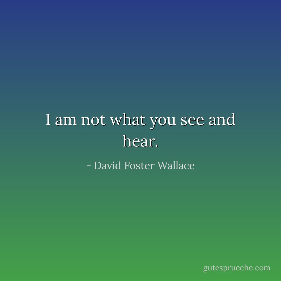 I am not what you see and hear. - David Foster Wallace