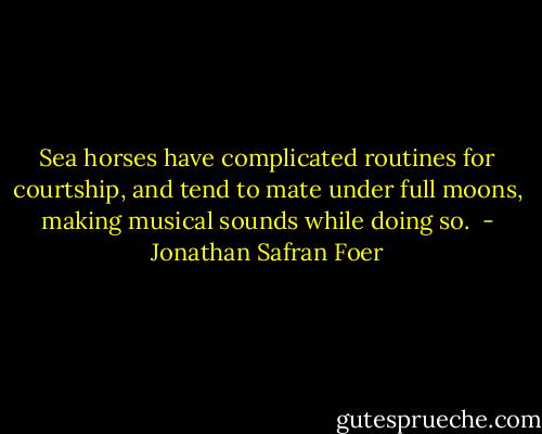Sea horses have complicated routines for courtship, and tend to mate under full moons, making musical sounds while doing so.  - Jonathan Safran Foer
