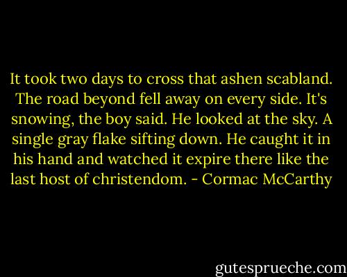 It took two days to cross that ashen scabland. The road beyond fell away on every side. It's snowing, the boy said. He looked at the sky. A single gray flake sifting down. He caught it in his hand and watched it expire there like the last host of christendom. - Cormac McCarthy