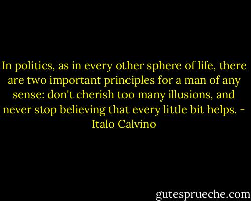 In politics, as in every other sphere of life, there are two important principles for a man of any sense: don't cherish too many illusions, and never stop believing that every little bit helps. - Italo Calvino