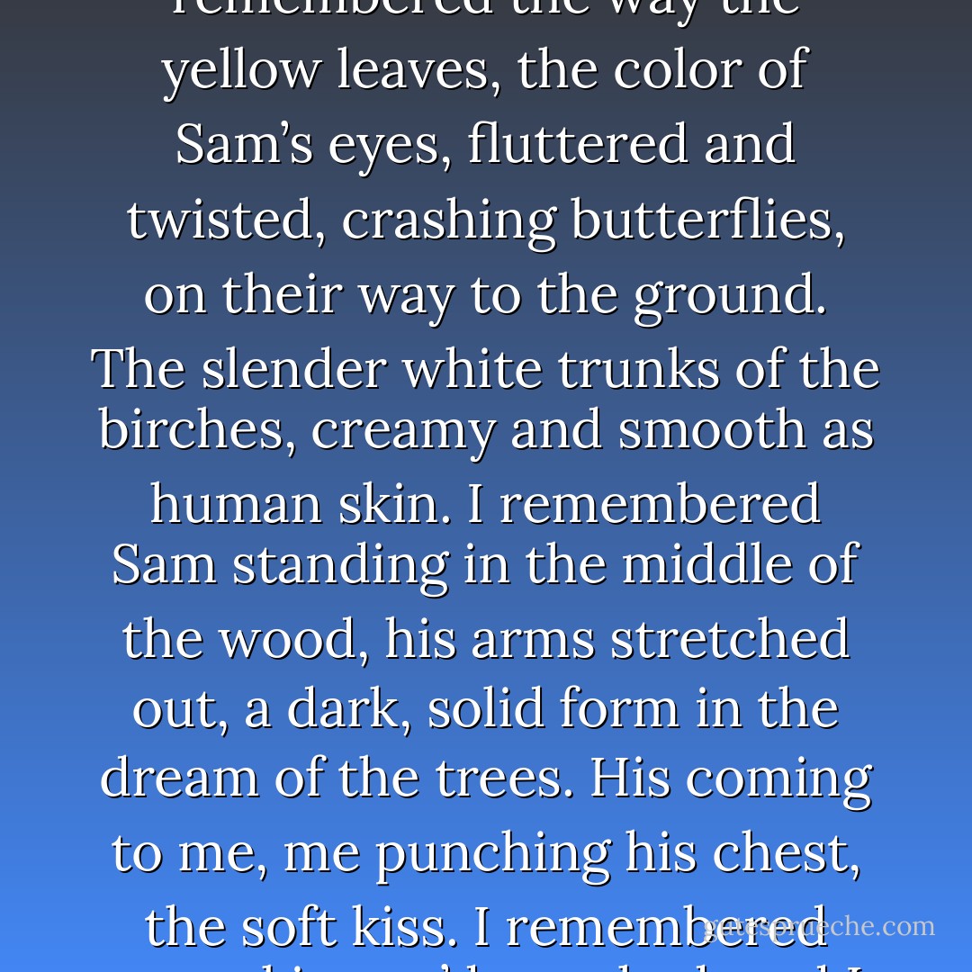 I settled on the floor and whispered to Sam, “I want you to listen to me, if you can.” I leaned the side of my face against his ruff and remembered the golden wood he had shown me so long ago. I remembered the way the yellow leaves, the color of Sam’s eyes, fluttered and twisted, crashing butterflies, on their way to the ground. The slender white trunks of the birches, creamy and smooth as human skin. I remembered Sam standing in the middle of the wood, his arms stretched out, a dark, solid form in the dream of the trees. His coming to me, me punching his chest, the soft kiss. I remembered every kiss we’d ever had, and I remembered every time I’d curled in his human arms. I remembered the soft warmth of his breath on the back of my neck while we slept.<br />I remembered Sam. - Maggie Stiefvater