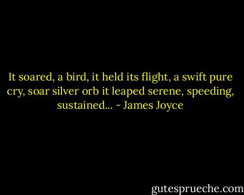 It soared, a bird, it held its flight, a swift pure cry, soar silver orb it leaped serene, speeding, sustained... - James Joyce