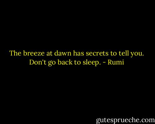 The breeze at dawn has secrets to tell you. Don't go back to sleep. - Rumi