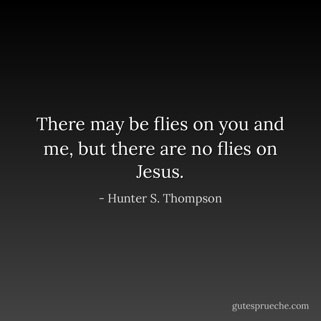 There may be flies on you and me, but there are no flies on Jesus. - Hunter S. Thompson