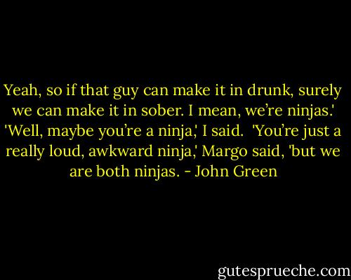 Yeah, so if that guy can make it in drunk, surely we can make it in sober. I mean, we’re ninjas.'<br />'Well, maybe you’re a ninja,' I said. <br />'You’re just a really loud, awkward ninja,' Margo said, 'but we are both ninjas. - John Green
