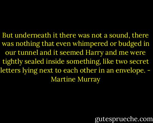 But underneath it there was not a sound, there was nothing that even whimpered or budged in our tunnel and it seemed Harry and me were tightly sealed inside something, like two secret letters lying next to each other in an envelope. - Martine Murray