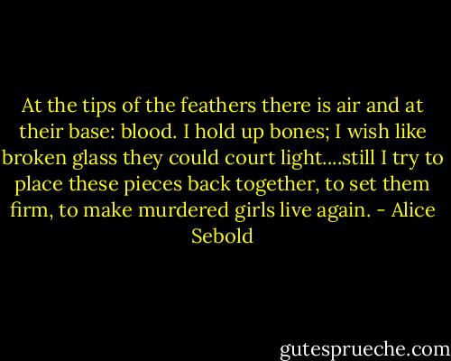 At the tips of the feathers there is air and at their base: blood. I hold up bones; I wish like broken glass they could court light....still I try to place these pieces back together, to set them firm, to make murdered girls live again. - Alice Sebold