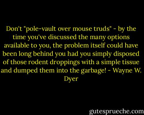 Don't "pole-vault over mouse truds" - by the time you've discussed the many options available to you, the problem itself could have been long behind you had you simply disposed of those rodent droppings with a simple tissue and dumped them into the garbage! - Wayne W. Dyer