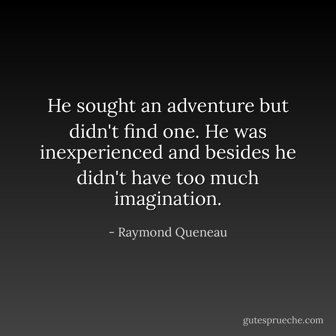 He sought an adventure but didn't find one. He was inexperienced and besides he didn't have too much imagination. - Raymond Queneau