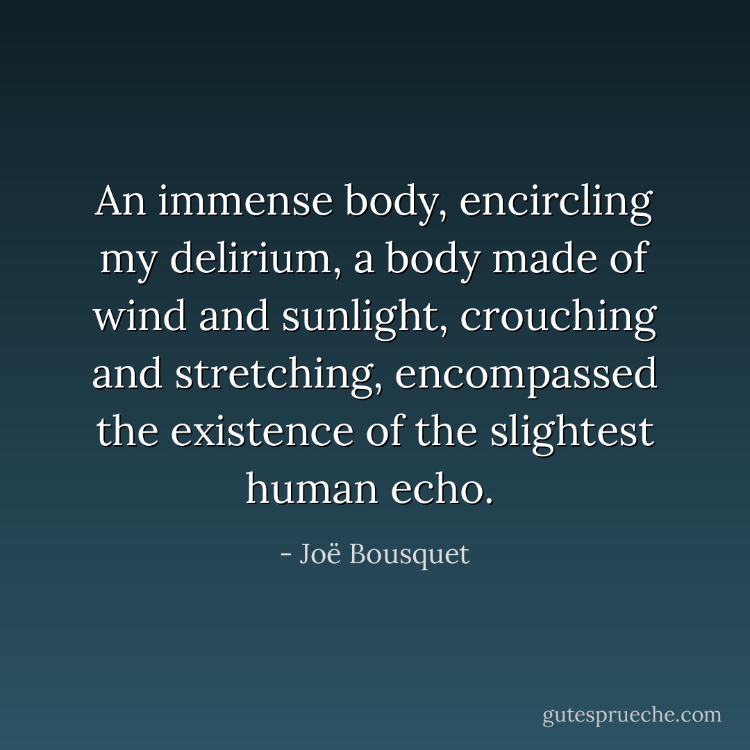 An immense body, encircling my delirium, a body made of wind and sunlight, crouching and stretching, encompassed the existence of the slightest human echo.<br /> - Joë Bousquet