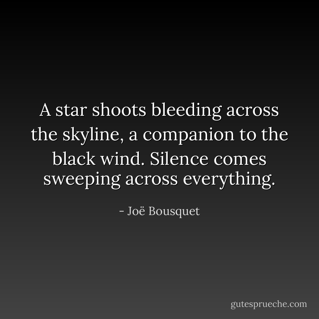 A star shoots bleeding across the skyline, a companion to the black wind. Silence comes sweeping across everything. - Joë Bousquet