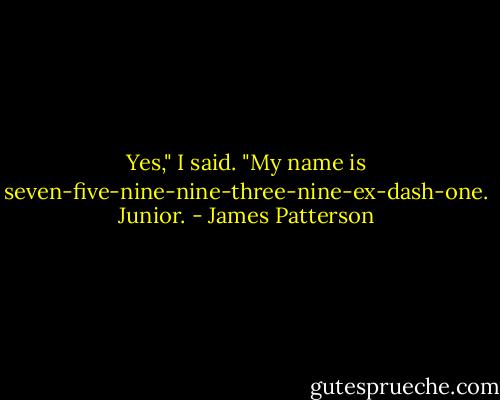 Yes," I said. "My name is seven-five-nine-nine-three-nine-ex-dash-one. Junior. - James Patterson