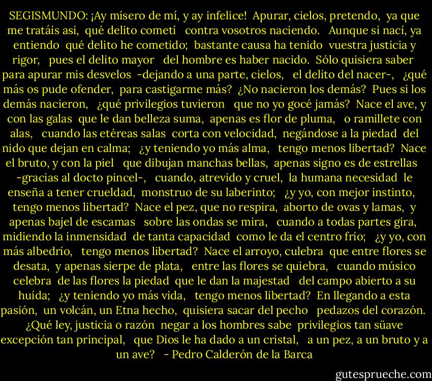 SEGISMUNDO: ¡Ay mísero de mí, y ay infelice!<br /> Apurar, cielos, pretendo,<br /> ya que me tratáis así,<br /> qué delito cometí <br /> contra vosotros naciendo. <br /> Aunque si nací, ya entiendo<br /> qué delito he cometido;<br /> bastante causa ha tenido<br /> vuestra justicia y rigor, <br /> pues el delito mayor <br /> del hombre es haber nacido.<br /> Sólo quisiera saber<br /> para apurar mis desvelos<br /> -dejando a una parte, cielos, <br /> el delito del nacer-, <br /> ¿qué más os pude ofender,<br /> para castigarme más?<br /> ¿No nacieron los demás?<br /> Pues si los demás nacieron, <br /> ¿qué privilegios tuvieron <br /> que no yo gocé jamás?<br /> Nace el ave, y con las galas<br /> que le dan belleza suma,<br /> apenas es flor de pluma, <br /> o ramillete con alas, <br /> cuando las etéreas salas<br /> corta con velocidad,<br /> negándose a la piedad<br /> del nido que dejan en calma; <br /> ¿y teniendo yo más alma, <br /> tengo menos libertad?<br /> Nace el bruto, y con la piel <br /> que dibujan manchas bellas,<br /> apenas signo es de estrellas <br /> -gracias al docto pincel-, <br /> cuando, atrevido y cruel,<br /> la humana necesidad<br /> le enseña a tener crueldad,<br /> monstruo de su laberinto; <br /> ¿y yo, con mejor instinto, <br /> tengo menos libertad?<br /> Nace el pez, que no respira,<br /> aborto de ovas y lamas,<br /> y apenas bajel de escamas <br /> sobre las ondas se mira, <br /> cuando a todas partes gira,<br /> midiendo la inmensidad<br /> de tanta capacidad<br /> como le da el centro frío; <br /> ¿y yo, con más albedrío, <br /> tengo menos libertad?<br /> Nace el arroyo, culebra<br /> que entre flores se desata,<br /> y apenas sierpe de plata, <br /> entre las flores se quiebra, <br /> cuando músico celebra<br /> de las flores la piedad<br /> que le dan la majestad <br /> del campo abierto a su huída; <br /> ¿y teniendo yo más vida, <br /> tengo menos libertad?<br /> En llegando a esta pasión,<br /> un volcán, un Etna hecho,<br /> quisiera sacar del pecho <br /> pedazos del corazón. <br /> ¿Qué ley, justicia o razón<br /> negar a los hombres sabe<br /> privilegios tan süave<br /> excepción tan principal, <br /> que Dios le ha dado a un cristal, <br /> a un pez, a un bruto y a un ave?<br /><br /> - Pedro Calderón de la Barca