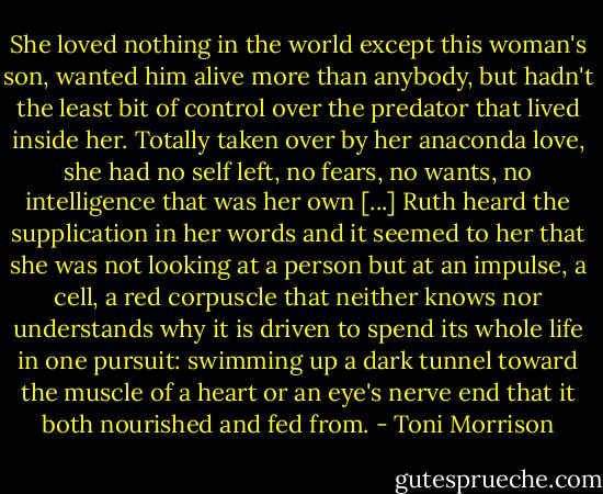 She loved nothing in the world except this woman's son, wanted him alive more than anybody, but hadn't the least bit of control over the predator that lived inside her. Totally taken over by her anaconda love, she had no self left, no fears, no wants, no intelligence that was her own [...] Ruth heard the supplication in her words and it seemed to her that she was not looking at a person but at an impulse, a cell, a red corpuscle that neither knows nor understands why it is driven to spend its whole life in one pursuit: swimming up a dark tunnel toward the muscle of a heart or an eye's nerve end that it both nourished and fed from. - Toni Morrison