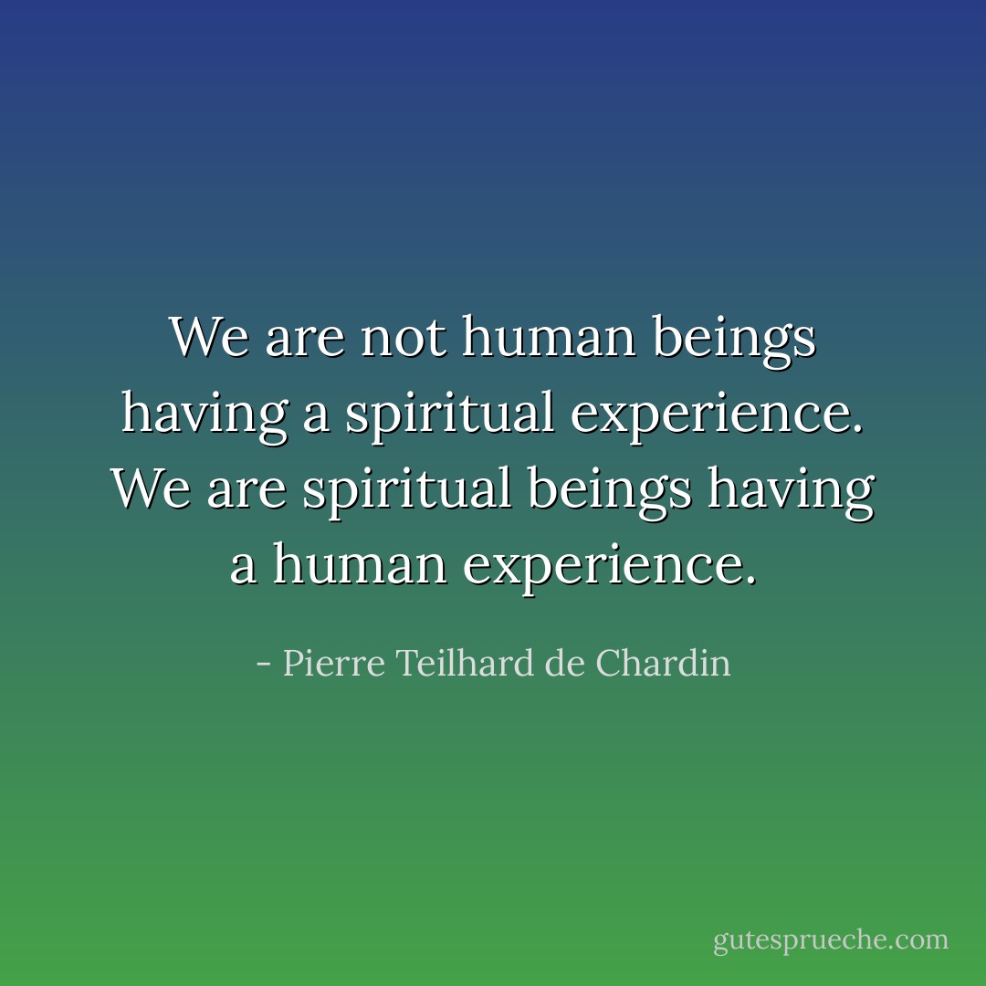 We are not human beings having a spiritual experience. We are spiritual beings having a human experience. - Pierre Teilhard de Chardin