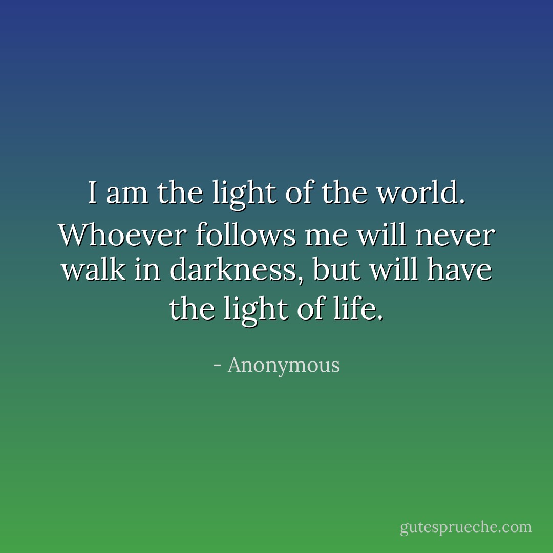 I am the light of the world. Whoever follows me will never walk in darkness, but will have the light of life. - Anonymous
