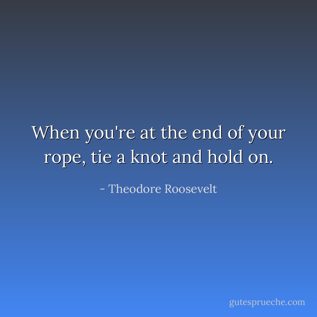 When you're at the end of your rope, tie a knot and hold on. - Theodore Roosevelt
