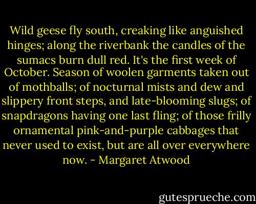 Wild geese fly south, creaking like anguished hinges; along the riverbank the candles of the sumacs burn dull red. It's the first week of October. Season of woolen garments taken out of mothballs; of nocturnal mists and dew and slippery front steps, and late-blooming slugs; of snapdragons having one last fling; of those frilly ornamental pink-and-purple cabbages that never used to exist, but are all over everywhere now. - Margaret Atwood