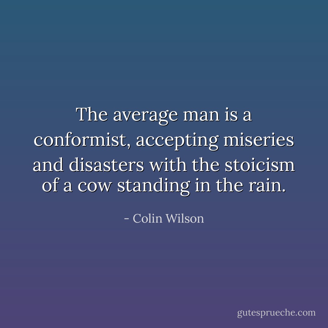 The average man is a conformist, accepting miseries and disasters with the stoicism of a cow standing in the rain. - Colin Wilson