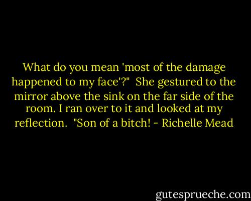 What do you mean 'most of the damage happened to my face'?"<br /> She gestured to the mirror above the sink on the far side of the room. I ran over to it and looked at my reflection.<br /> "Son of a bitch! - Richelle Mead