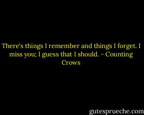 There's things I remember and things I forget. I miss you; I guess that I should. - Counting Crows