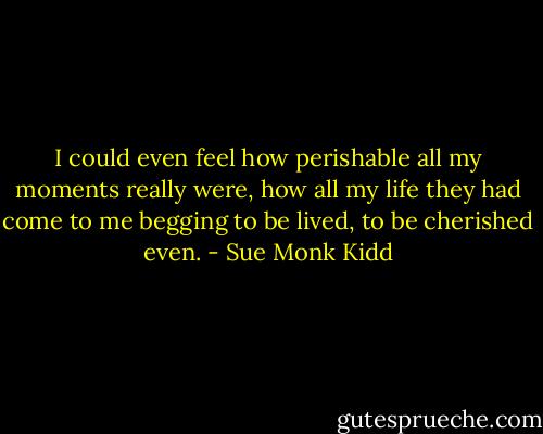 I could even feel how perishable all my moments really were, how all my life they had come to me begging to be lived, to be cherished even. - Sue Monk Kidd