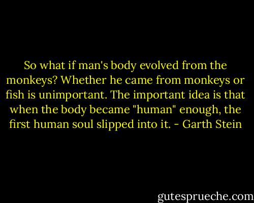 So what if man's body evolved from the monkeys? Whether he came from monkeys or fish is unimportant. The important idea is that when the body became "human" enough, the first human soul slipped into it. - Garth Stein