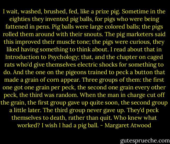 I wait, washed, brushed, fed, like a prize pig. Sometime in the eighties they invented pig balls, for pigs who were being fattened in pens. Pig balls were large colored balls; the pigs rolled them around with their snouts. The pig marketers said this improved their muscle tone; the pigs were curious, they liked having something to think about. I read about that in Introduction to Psychology; that, and the chapter on caged rats who'd give themselves electric shocks for something to do. And the one on the pigeons trained to peck a button that made a grain of corn appear. Three groups of them: the first one got one grain per peck, the second one grain every other peck, the third was random. When the man in charge cut off the grain, the first group gave up quite soon, the second group a little later. The third group never gave up. They'd peck themselves to death, rather than quit. Who knew what worked?<br />I wish I had a pig ball. - Margaret Atwood