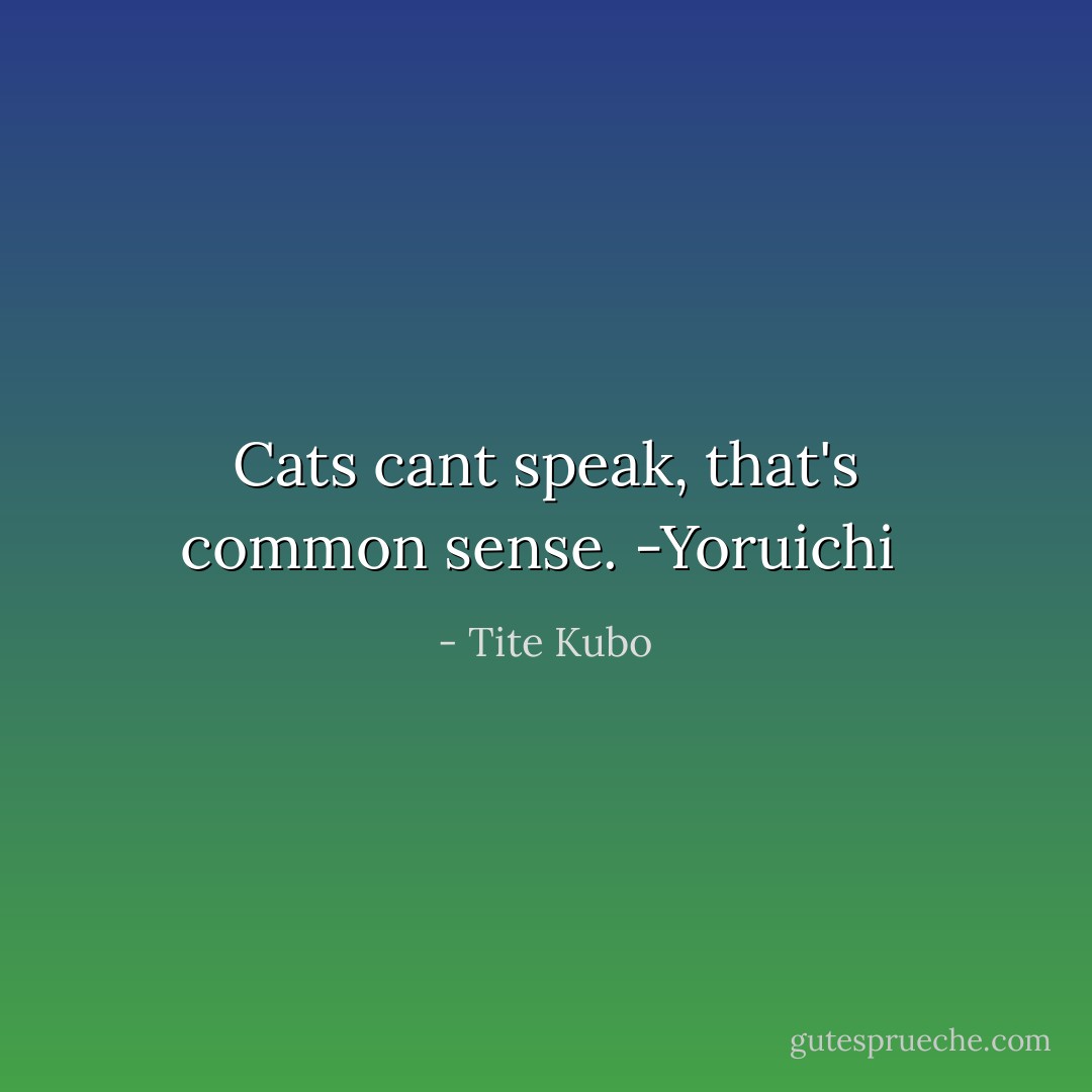 Cats cant speak, that's common sense.<br />-Yoruichi  - Tite Kubo