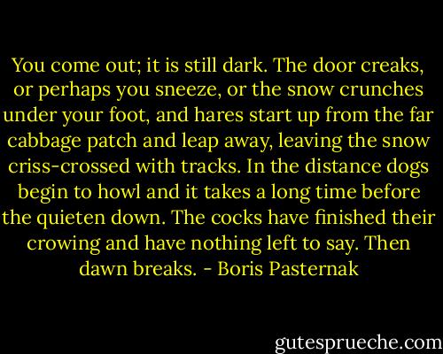 You come out; it is still dark. The door creaks, or perhaps you sneeze, or the snow crunches under your foot, and hares start up from the far cabbage patch and leap away, leaving the snow criss-crossed with tracks. In the distance dogs begin to howl and it takes a long time before the quieten down. The cocks have finished their crowing and have nothing left to say. Then dawn breaks. - Boris Pasternak