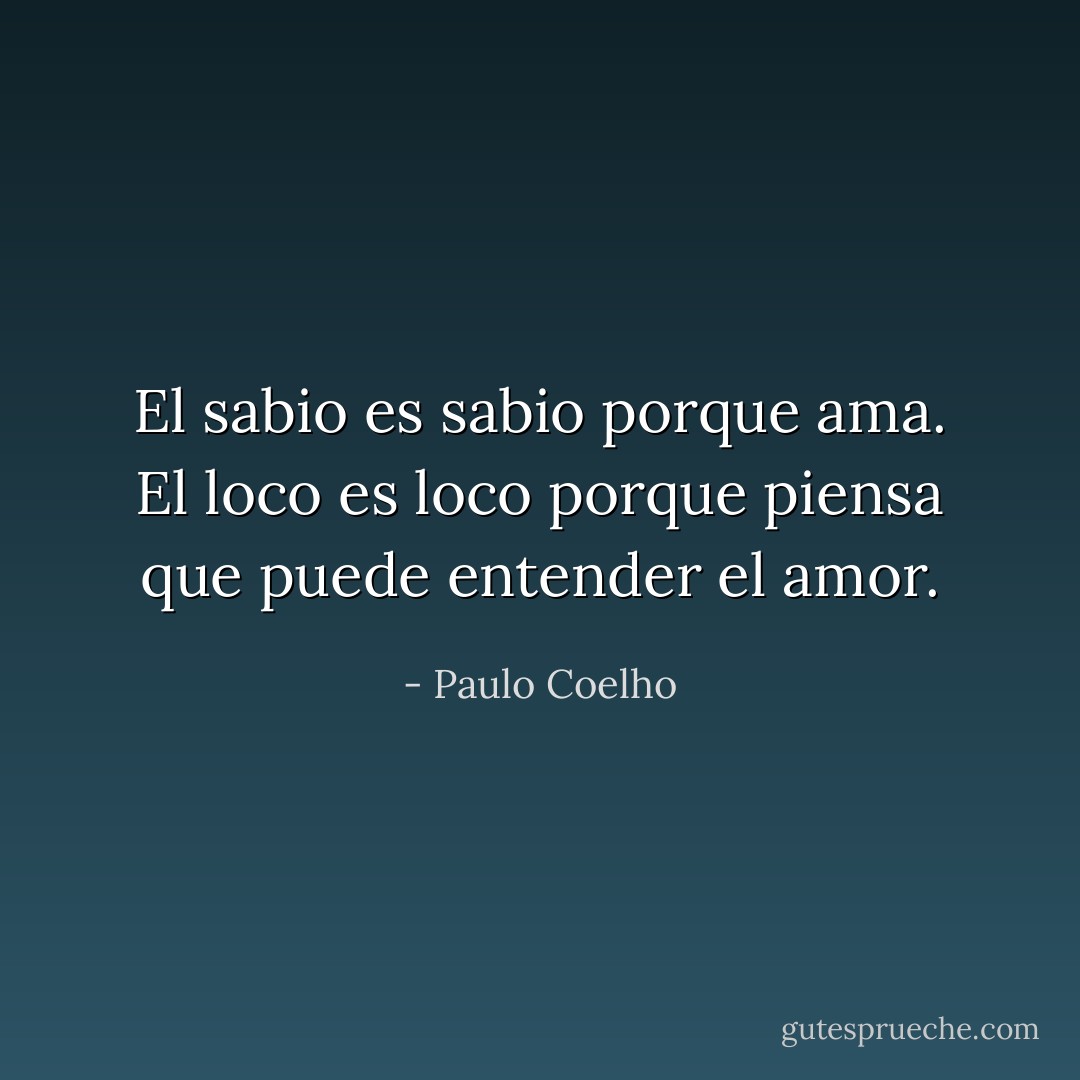 El sabio es sabio porque ama. El loco es loco porque piensa que puede entender el amor. - Paulo Coelho