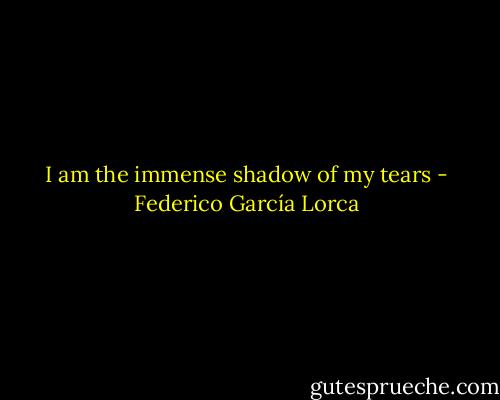 I am the immense shadow of my tears - Federico García Lorca