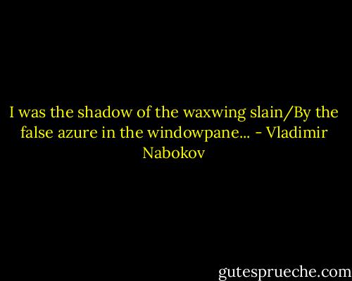 I was the shadow of the waxwing slain/By the false azure in the windowpane... - Vladimir Nabokov