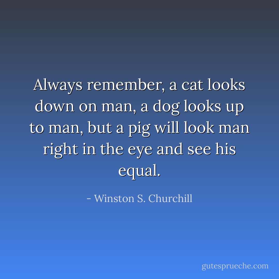 Always remember, a cat looks down on man, a dog looks up to man, but a pig will look man right in the eye and see his equal. - Winston S. Churchill
