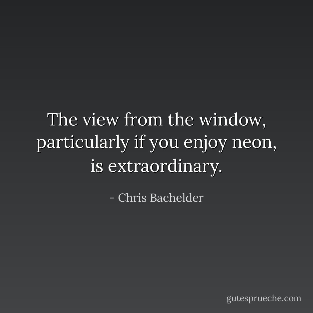 The view from the window, particularly if you enjoy neon, is extraordinary. - Chris Bachelder