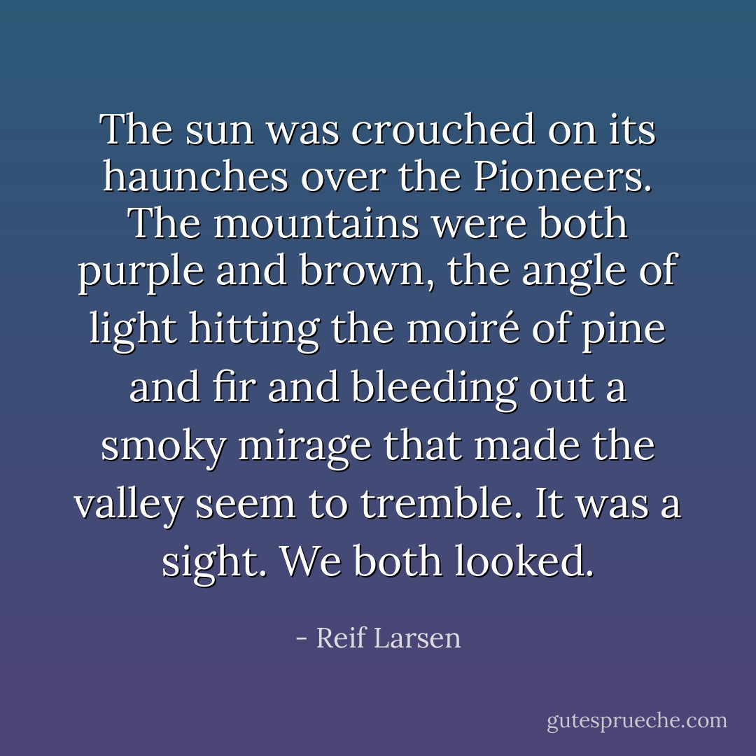 The sun was crouched on its haunches over the Pioneers. The mountains were both purple and brown, the angle of light hitting the moiré of pine and fir and bleeding out a smoky mirage that made the valley seem to tremble. It was a sight. We both looked. - Reif Larsen