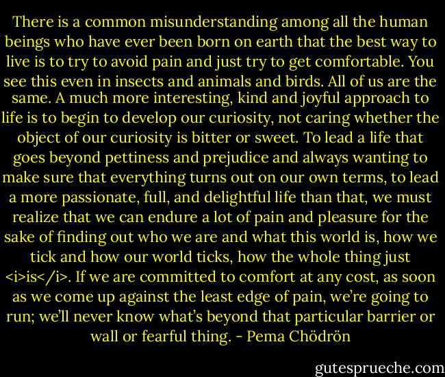 There is a common misunderstanding among all the human beings who have ever been born on earth that the best way to live is to try to avoid pain and just try to get comfortable. You see this even in insects and animals and birds. All of us are the same. A much more interesting, kind and joyful approach to life is to begin to develop our curiosity, not caring whether the object of our curiosity is bitter or sweet. To lead a life that goes beyond pettiness and prejudice and always wanting to make sure that everything turns out on our own terms, to lead a more passionate, full, and delightful life than that, we must realize that we can endure a lot of pain and pleasure for the sake of finding out who we are and what this world is, how we tick and how our world ticks, how the whole thing just <i>is</i>. If we are committed to comfort at any cost, as soon as we come up against the least edge of pain, we’re going to run; we’ll never know what’s beyond that particular barrier or wall or fearful thing. - Pema Chödrön