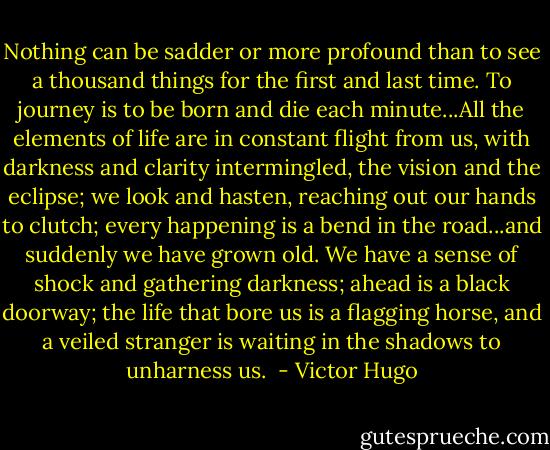 Nothing can be sadder or more profound than to see a thousand things for the first and last time. To journey is to be born and die each minute...All the elements of life are in constant flight from us, with darkness and clarity intermingled, the vision and the eclipse; we look and hasten, reaching out our hands to clutch; every happening is a bend in the road...and suddenly we have grown old. We have a sense of shock and gathering darkness; ahead is a black doorway; the life that bore us is a flagging horse, and a veiled stranger is waiting in the shadows to unharness us.  - Victor Hugo