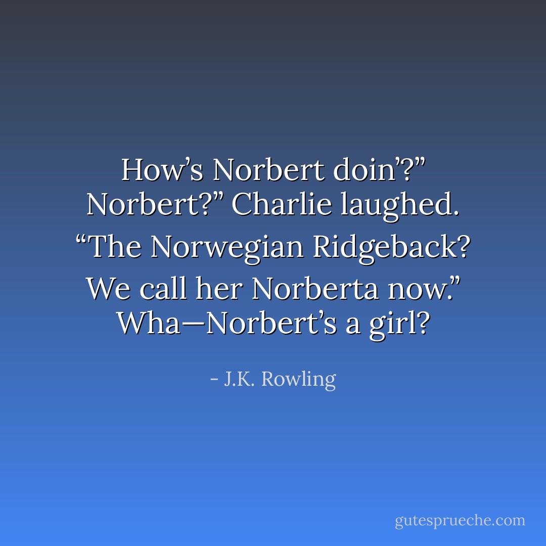 How’s Norbert doin’?”<br />Norbert?” Charlie laughed. “The Norwegian Ridgeback? We call her Norberta now.”<br />Wha—Norbert’s a girl? - J.K. Rowling
