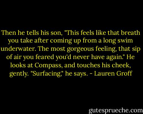 Then he tells his son, "This feels like that breath you take after coming up from a long swim underwater. The most gorgeous feeling, that sip of air you feared you'd never have again." He looks at Compass, and touches his cheek, gently. "Surfacing," he says. - Lauren Groff